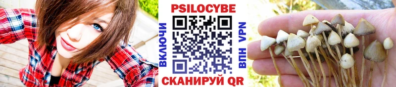 Галлюциногенные грибы MAGIC MUSHROOMS  Киров 