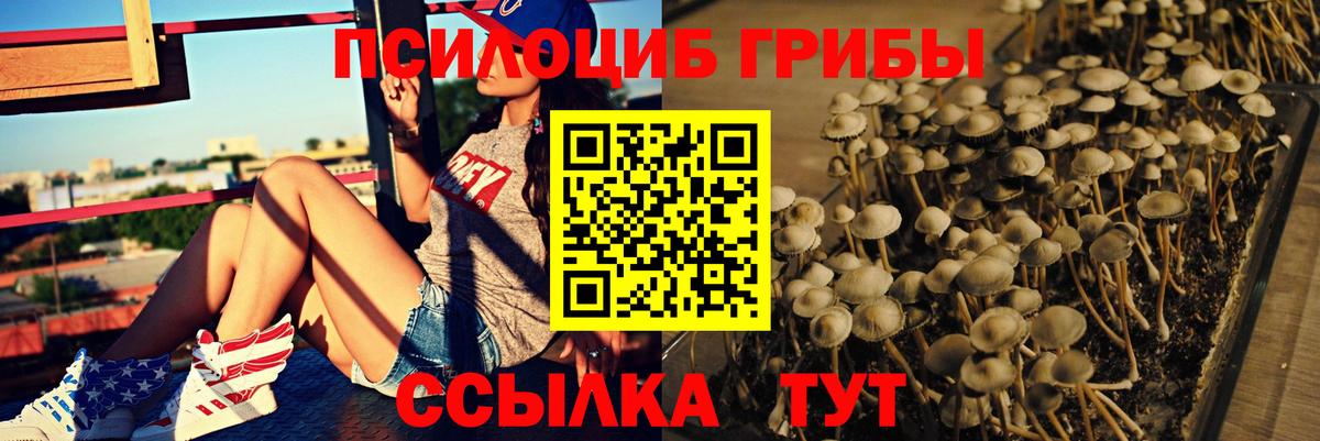 Псилоцибиновые грибы Magic Shrooms Киров